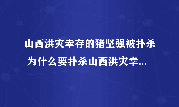 山西洪灾幸存的猪坚强被扑杀 为什么要扑杀山西洪灾幸存的猪坚强