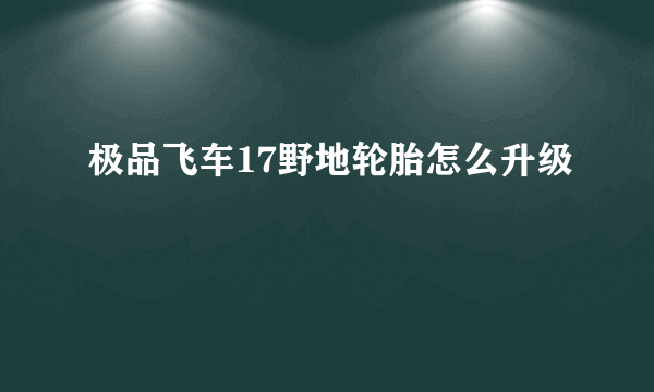 极品飞车17野地轮胎怎么升级