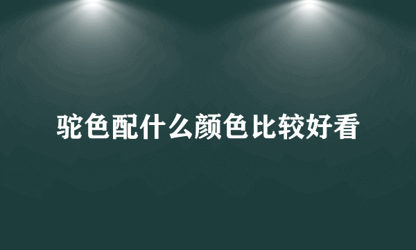 驼色配什么颜色比较好看