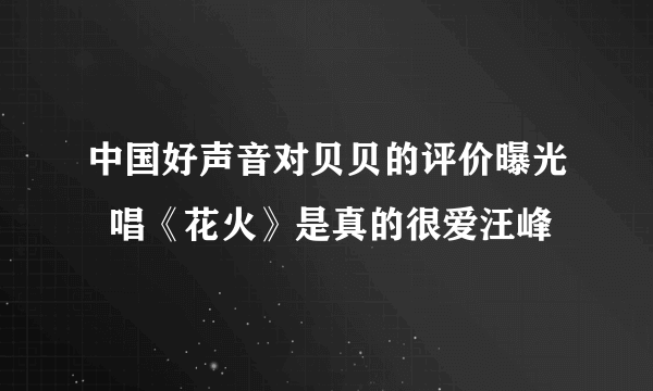 中国好声音对贝贝的评价曝光  唱《花火》是真的很爱汪峰