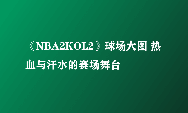 《NBA2KOL2》球场大图 热血与汗水的赛场舞台