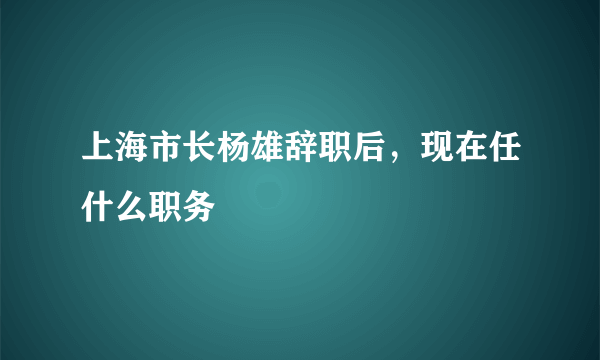 上海市长杨雄辞职后，现在任什么职务