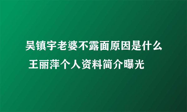 吴镇宇老婆不露面原因是什么 王丽萍个人资料简介曝光