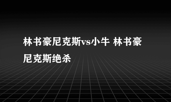 林书豪尼克斯vs小牛 林书豪尼克斯绝杀