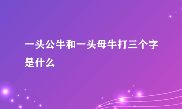 一头公牛和一头母牛打三个字是什么