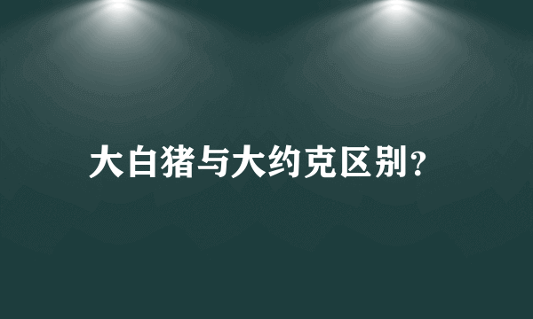 大白猪与大约克区别？