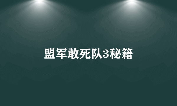 盟军敢死队3秘籍