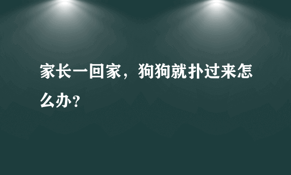 家长一回家，狗狗就扑过来怎么办？