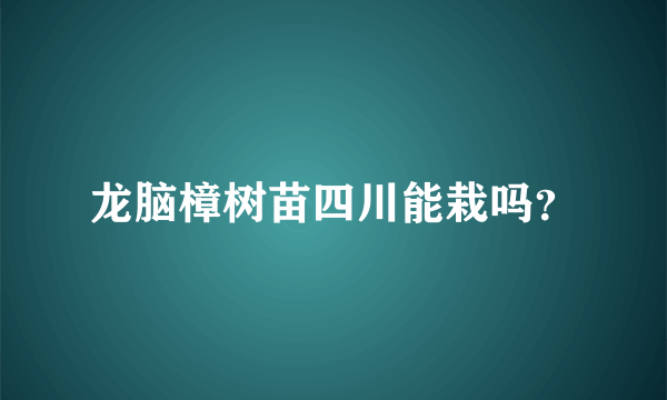 龙脑樟树苗四川能栽吗？