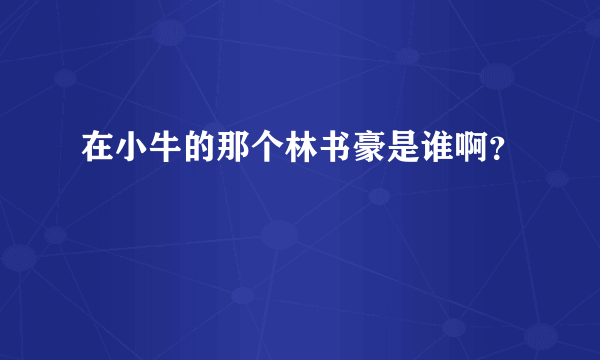 在小牛的那个林书豪是谁啊？