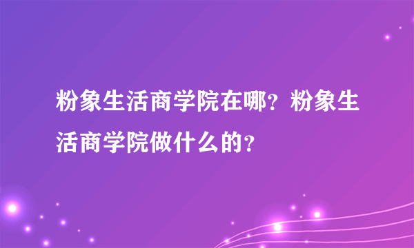 粉象生活商学院在哪？粉象生活商学院做什么的？