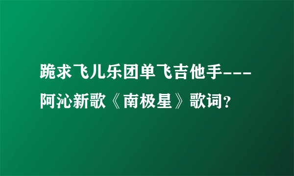 跪求飞儿乐团单飞吉他手---阿沁新歌《南极星》歌词？