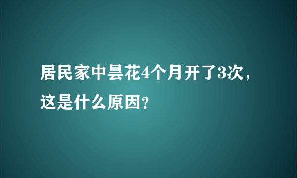 居民家中昙花4个月开了3次，这是什么原因？