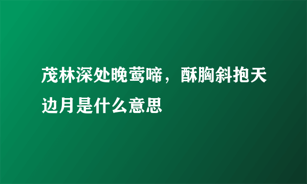 茂林深处晚莺啼，酥胸斜抱天边月是什么意思