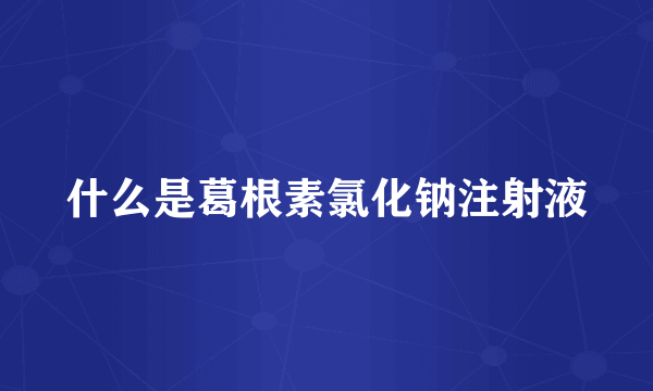 什么是葛根素氯化钠注射液