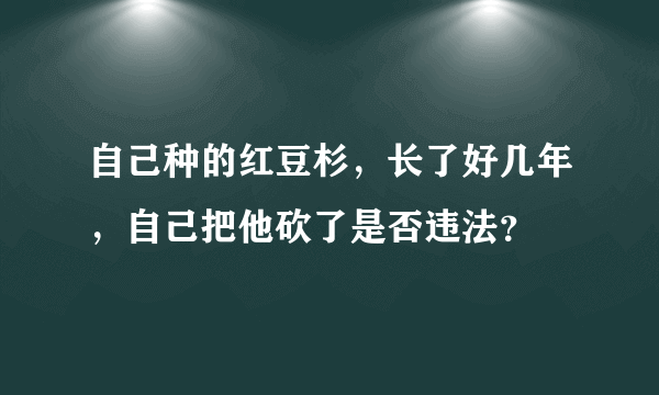 自己种的红豆杉，长了好几年，自己把他砍了是否违法？