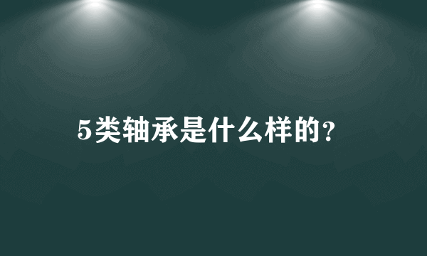 5类轴承是什么样的？