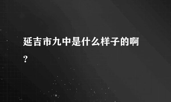 延吉市九中是什么样子的啊 ？