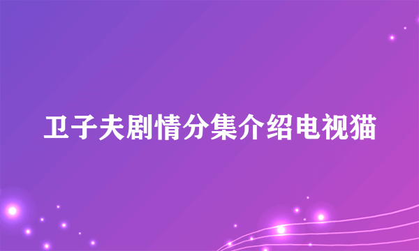 卫子夫剧情分集介绍电视猫