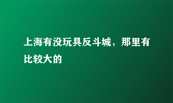 上海有没玩具反斗城，那里有比较大的