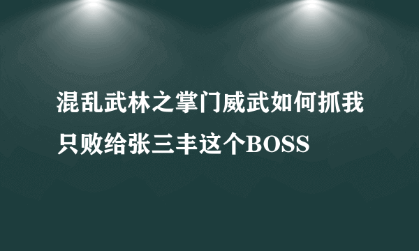 混乱武林之掌门威武如何抓我只败给张三丰这个BOSS