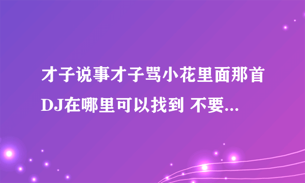 才子说事才子骂小花里面那首DJ在哪里可以找到 不要单曲 要DJ串烧的！