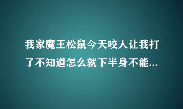 我家魔王松鼠今天咬人让我打了不知道怎么就下半身不能动了是吓的还是怎么回事着急求解决办法