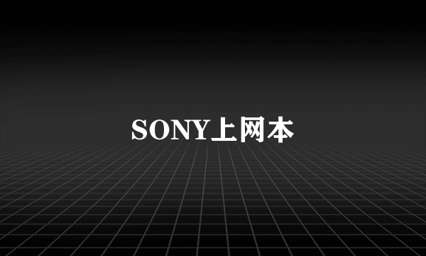 SONY上网本