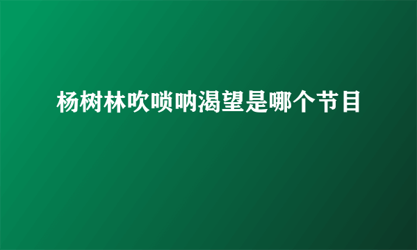 杨树林吹唢呐渴望是哪个节目