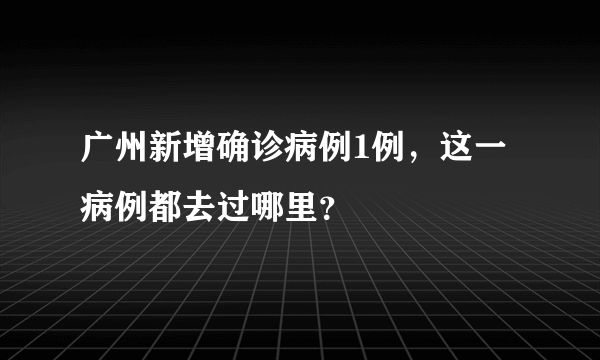 广州新增确诊病例1例，这一病例都去过哪里？