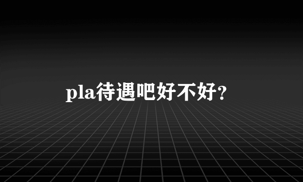 pla待遇吧好不好？