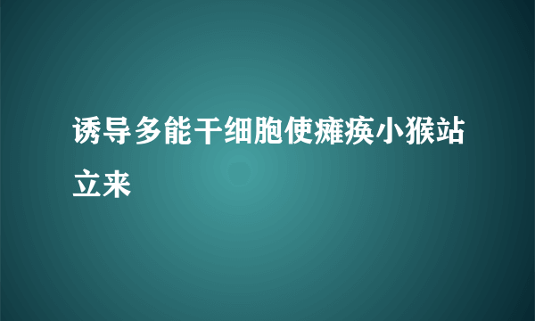 诱导多能干细胞使瘫痪小猴站立来