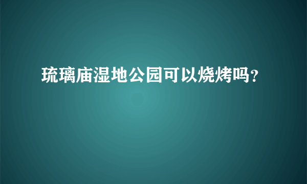 琉璃庙湿地公园可以烧烤吗？