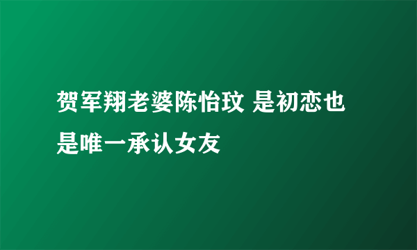 贺军翔老婆陈怡玟 是初恋也是唯一承认女友