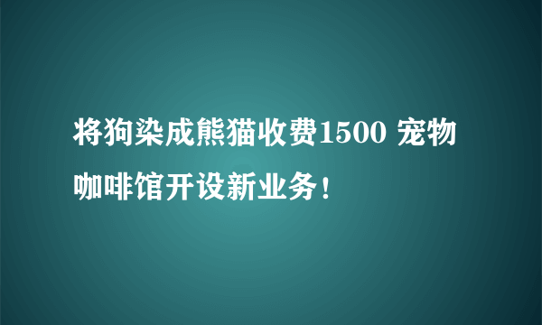 将狗染成熊猫收费1500 宠物咖啡馆开设新业务！