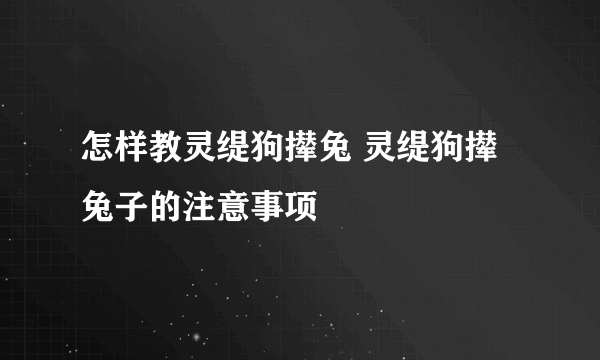 怎样教灵缇狗撵兔 灵缇狗撵兔子的注意事项