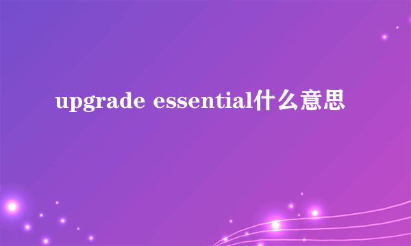 upgrade essential什么意思