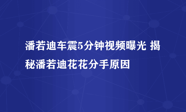 潘若迪车震5分钟视频曝光 揭秘潘若迪花花分手原因