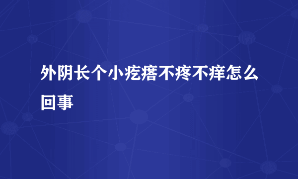 外阴长个小疙瘩不疼不痒怎么回事