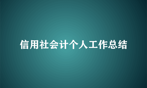 信用社会计个人工作总结