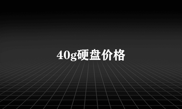 40g硬盘价格