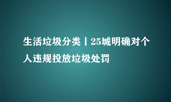 生活垃圾分类丨25城明确对个人违规投放垃圾处罚