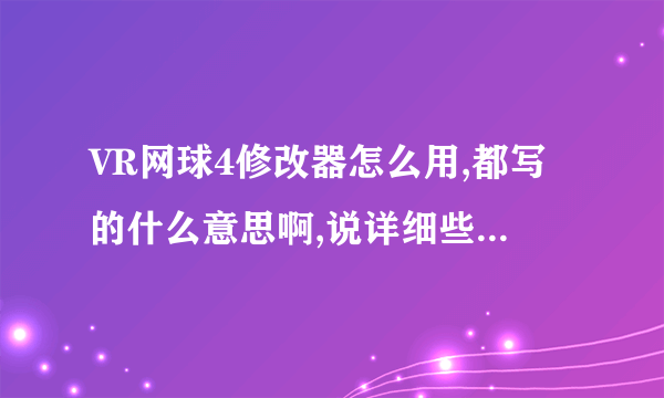 VR网球4修改器怎么用,都写的什么意思啊,说详细些,谢谢!