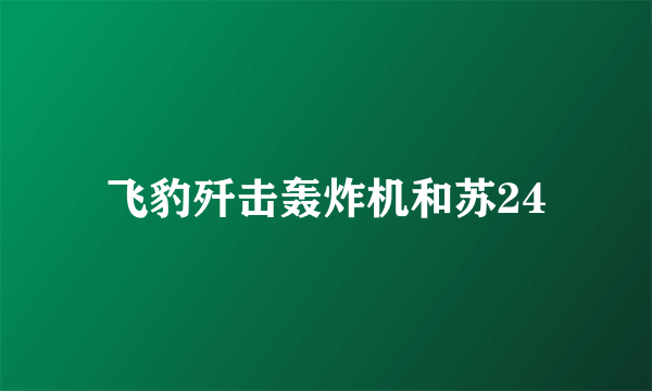 飞豹歼击轰炸机和苏24