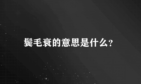 鬓毛衰的意思是什么？