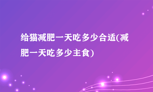 给猫减肥一天吃多少合适(减肥一天吃多少主食)