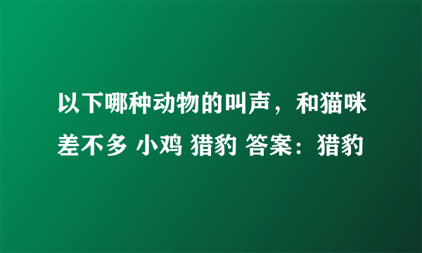 以下哪种动物的叫声，和猫咪差不多 小鸡 猎豹 答案：猎豹