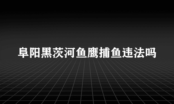 阜阳黑茨河鱼鹰捕鱼违法吗