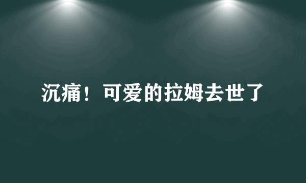 沉痛！可爱的拉姆去世了