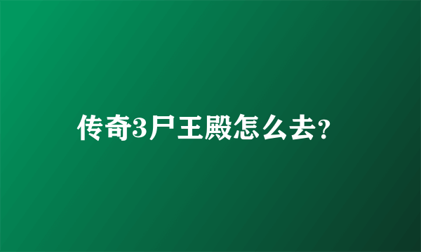 传奇3尸王殿怎么去？